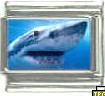 Great White shark (b) - photo 9mm Italian charm - Click Image to Close